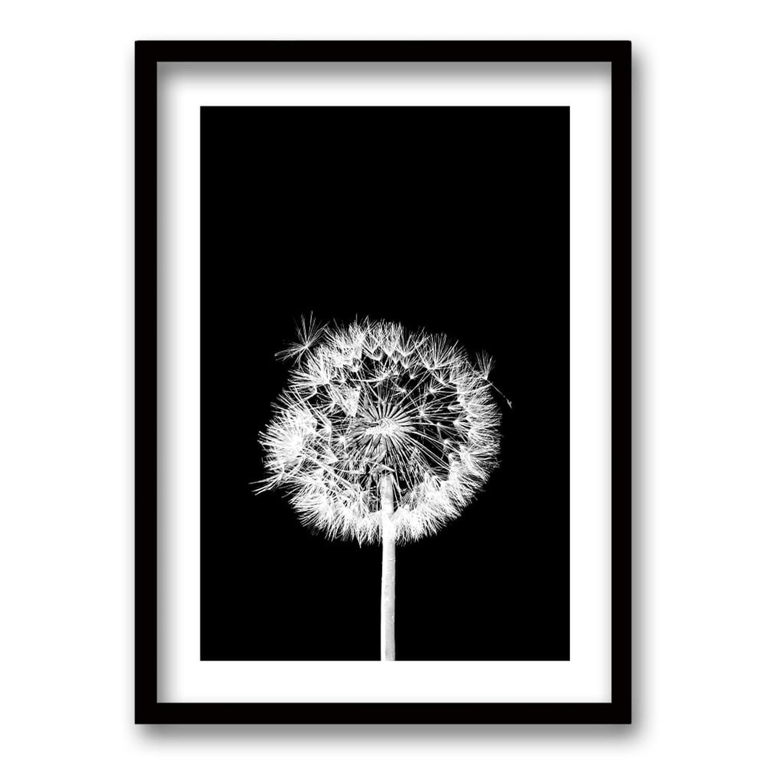 Cuadro Flor De Leon N-0