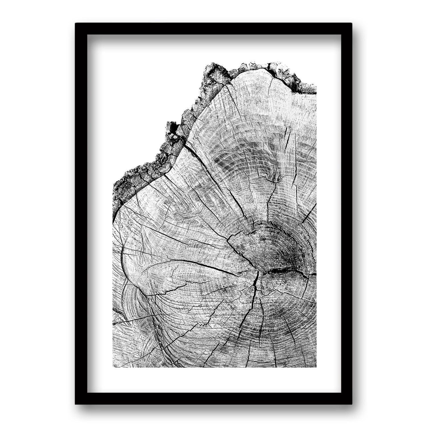 Cuadro Pulso del Bosque - 40x30 cm-0