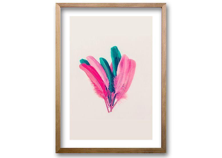 Cuadro ilustración Plumarte - 50x35 cm-0