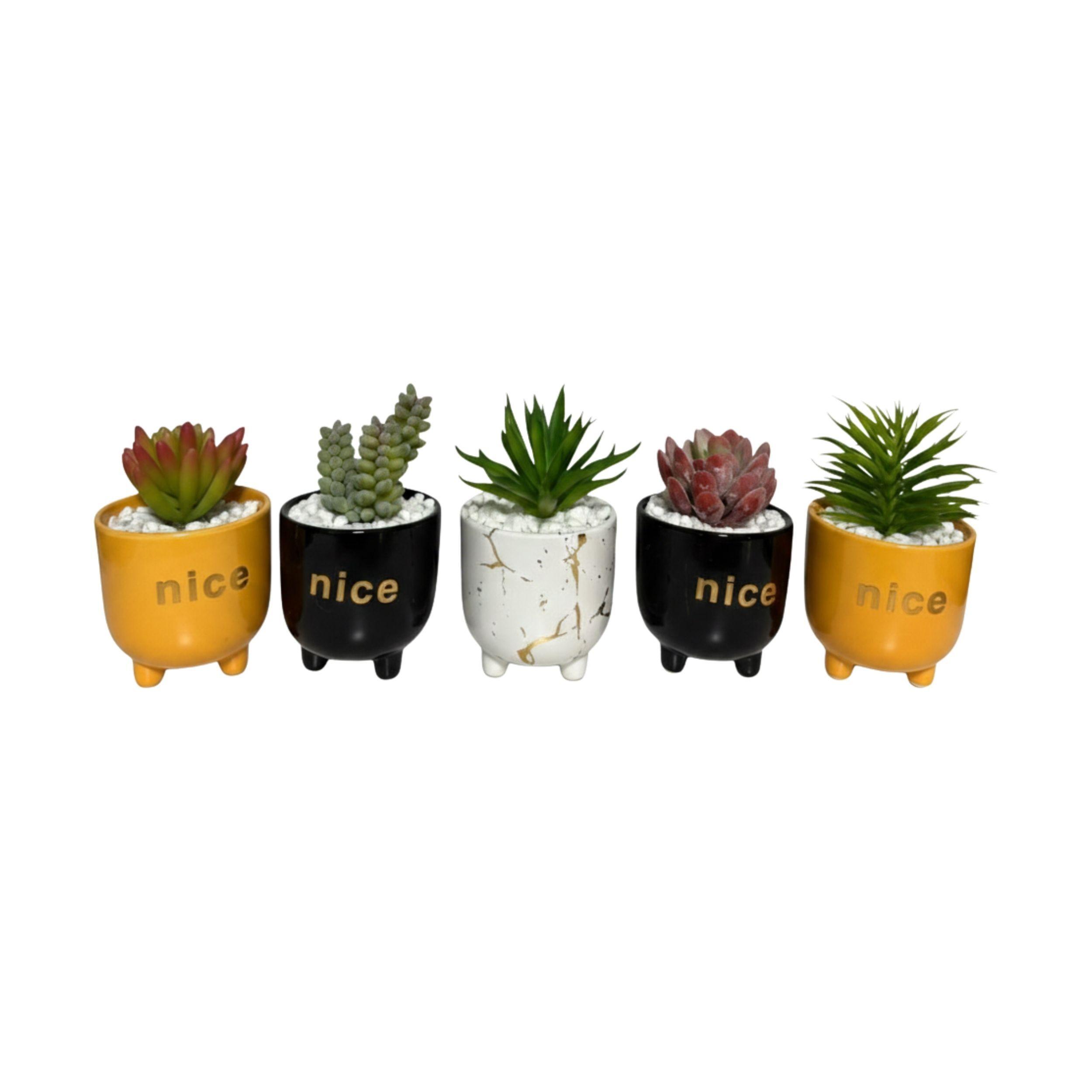 Set 2 Macetas Decorativas Frases Plantas Suculentas ALJ-0