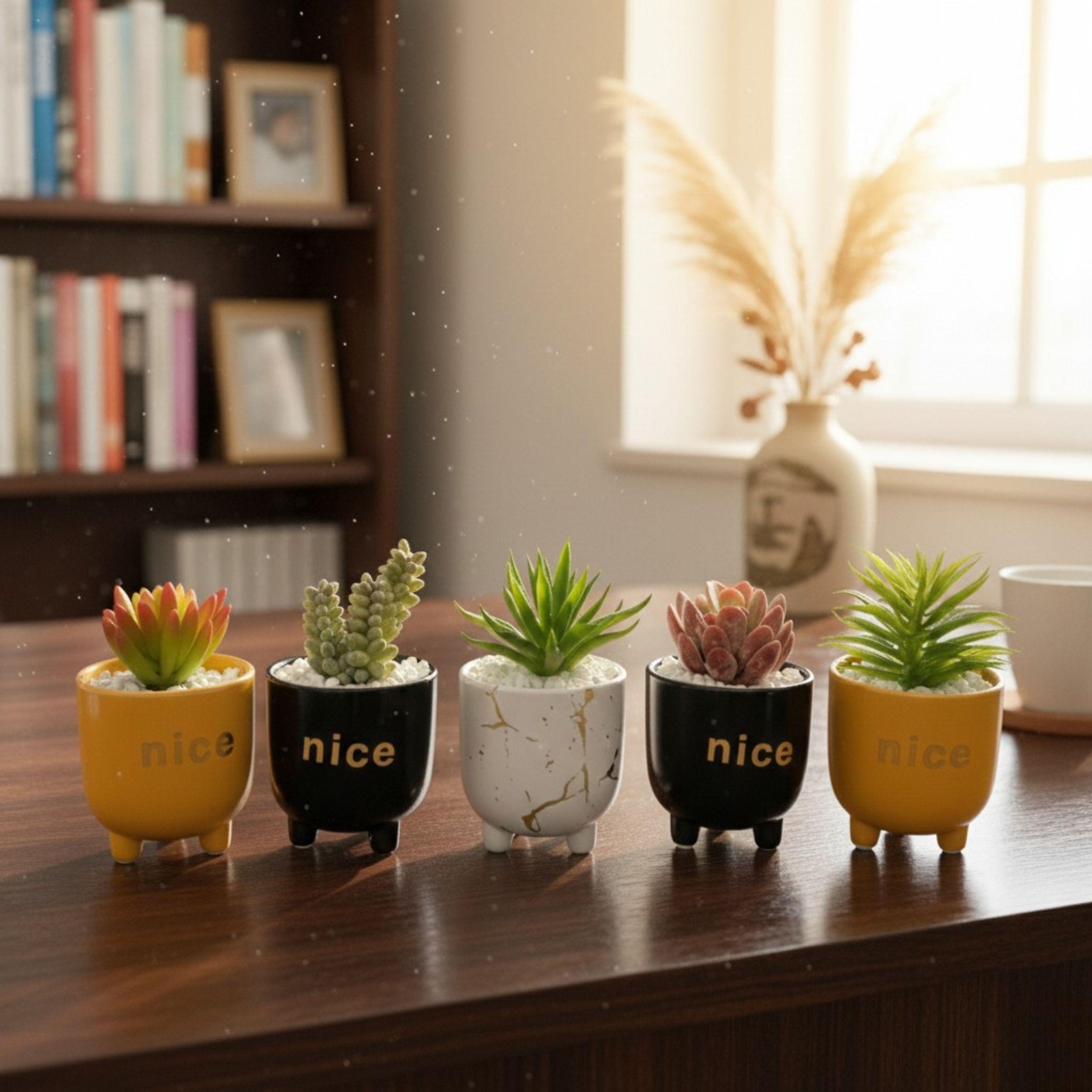 Set 2 Macetas Decorativas Frases Plantas Suculentas ALJ-8