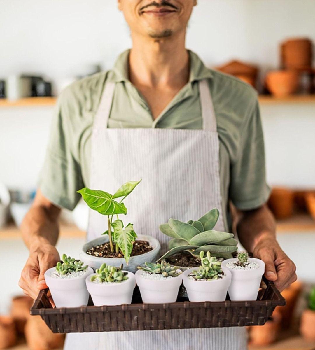 Set 6 Macetero Mini Suculentas Jardinería Cultivo Jhn-3