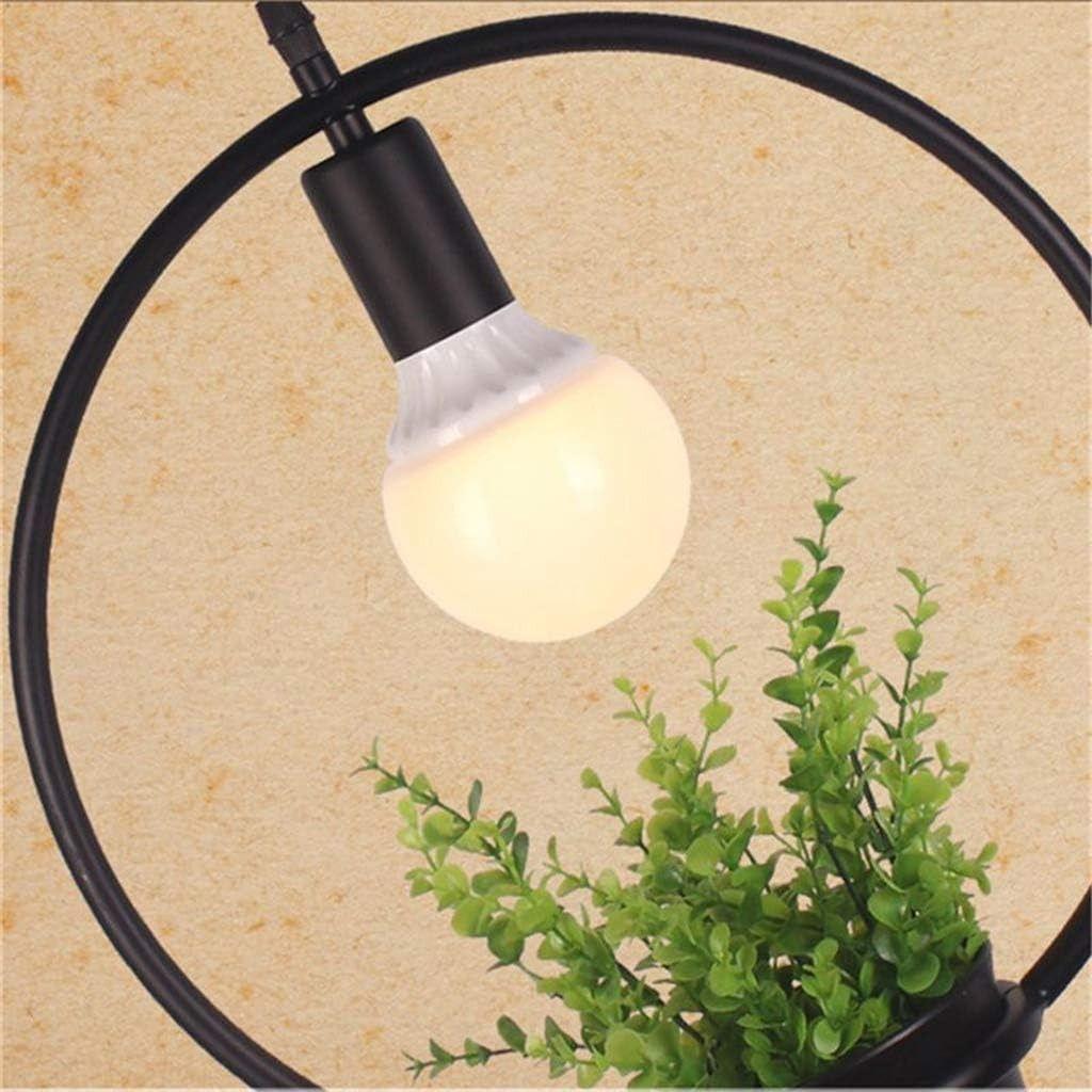 Lámpara Colgante Moderna Plantas Creativo Jardin Hogar Lau-6