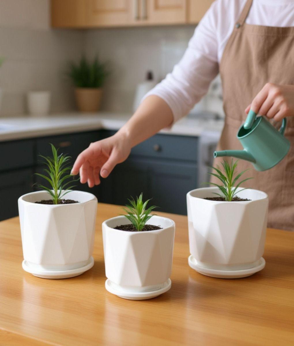 Set 3 Maceta Decorativa Diseño Geométrico Versátil Jhn-4