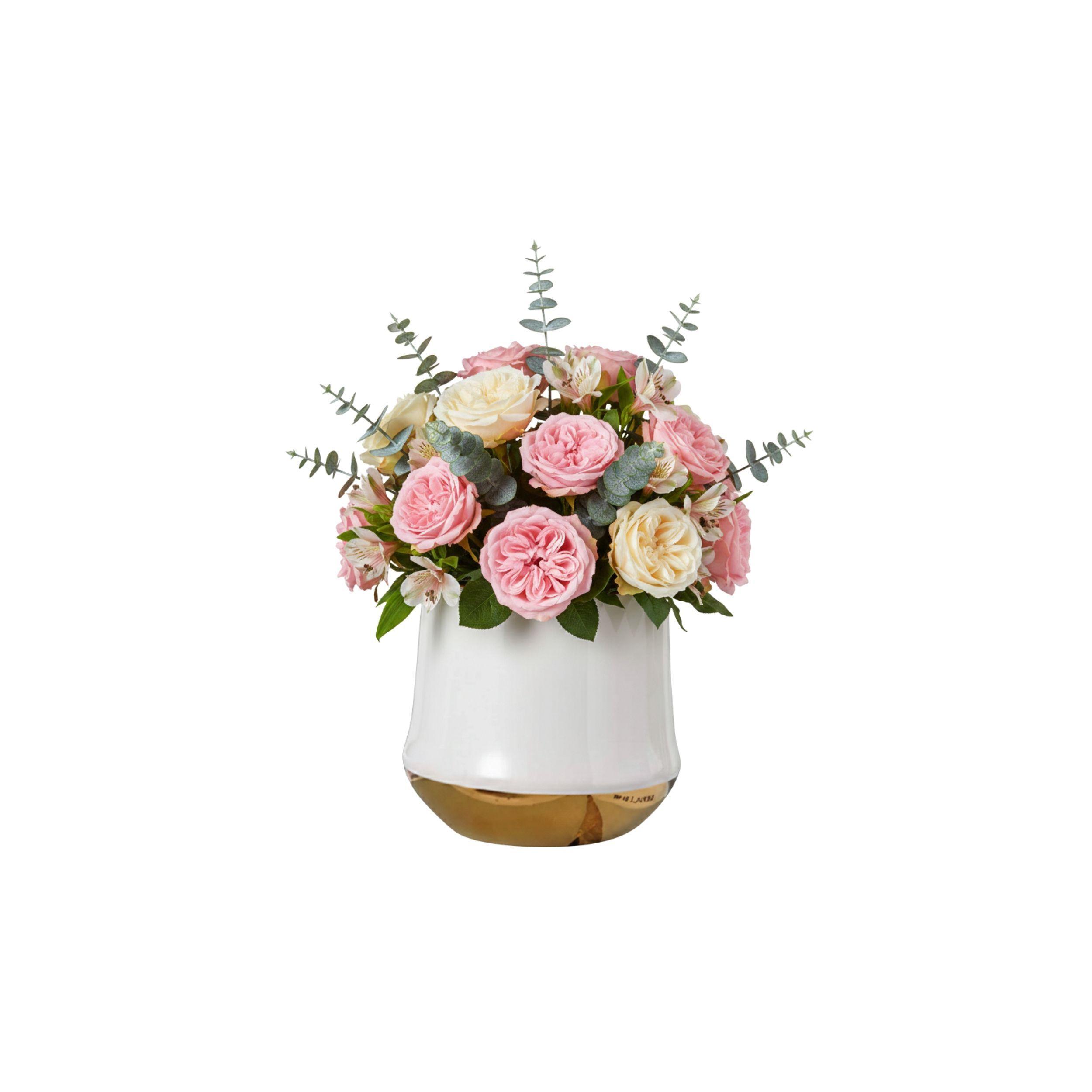 Maceta Elegante Decorativa Planta Interior Oficina ALJ-1