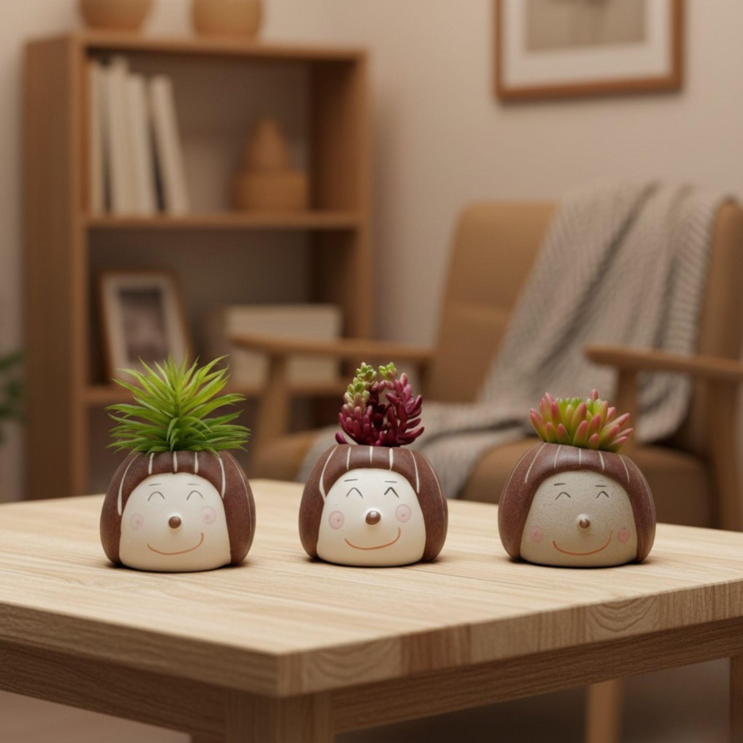 Set 2 Macetas Decorativas Caritas Plantas Suculentas ALJ-6
