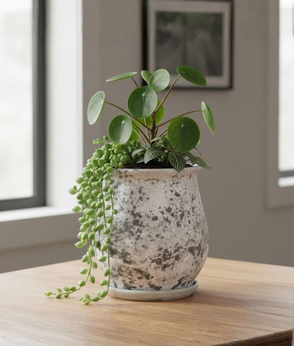 Maceta Decorativa Base Funcional Jardín Hogar Adorno Jhn-9