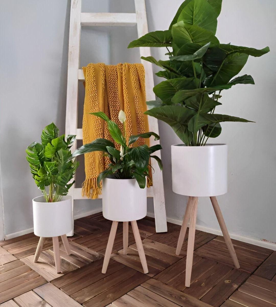 Set Macetas Planta Patas Interior Exterior Flores Blanca Jhn-2