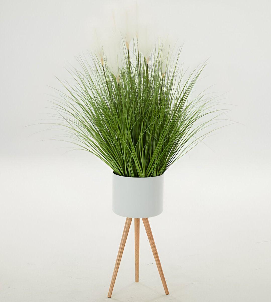 Set Macetas Planta Patas Interior Exterior Flores Blanca Jhn-7