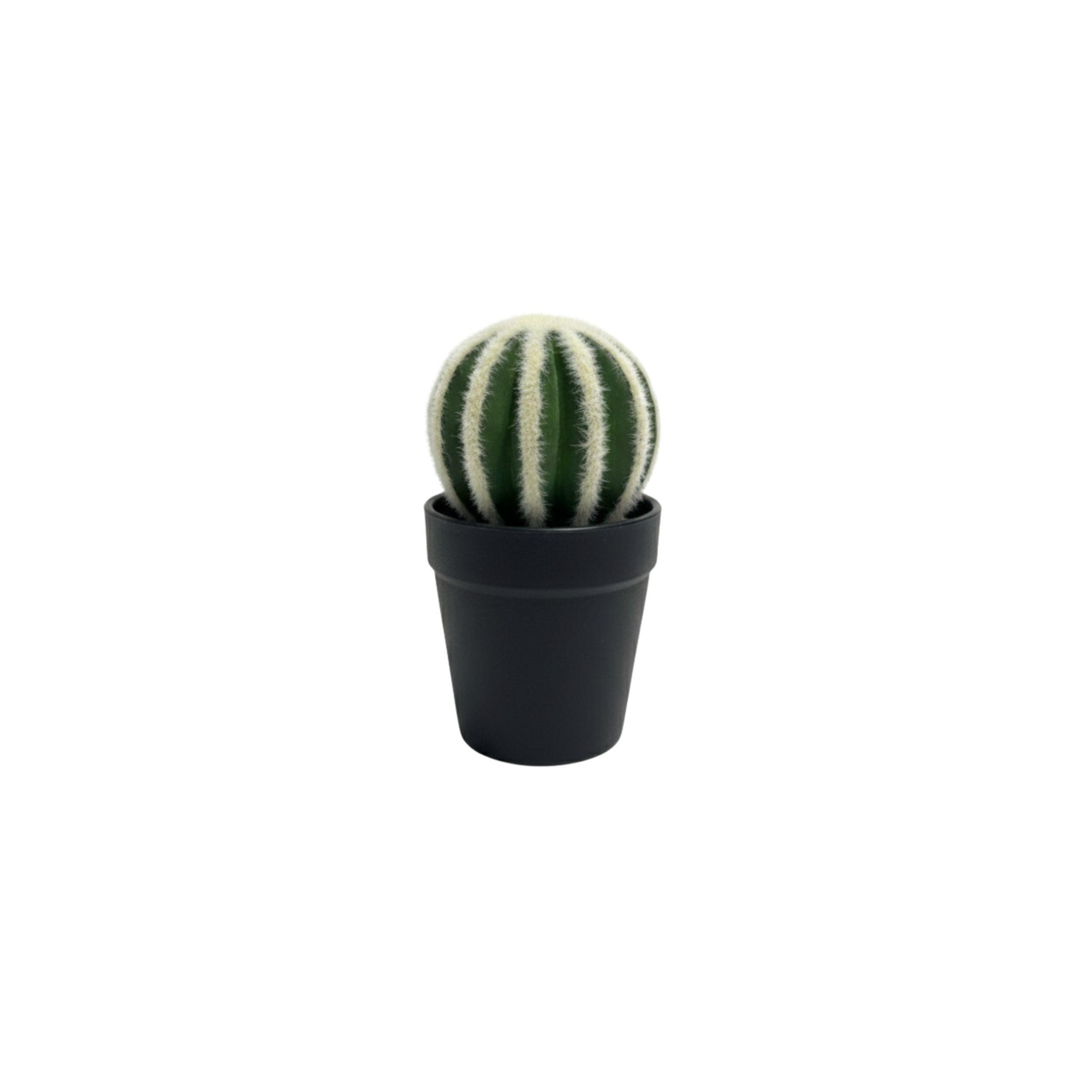 Set 2 Cactus Decorativos Minimalistas Planta Artificial ALJ-0