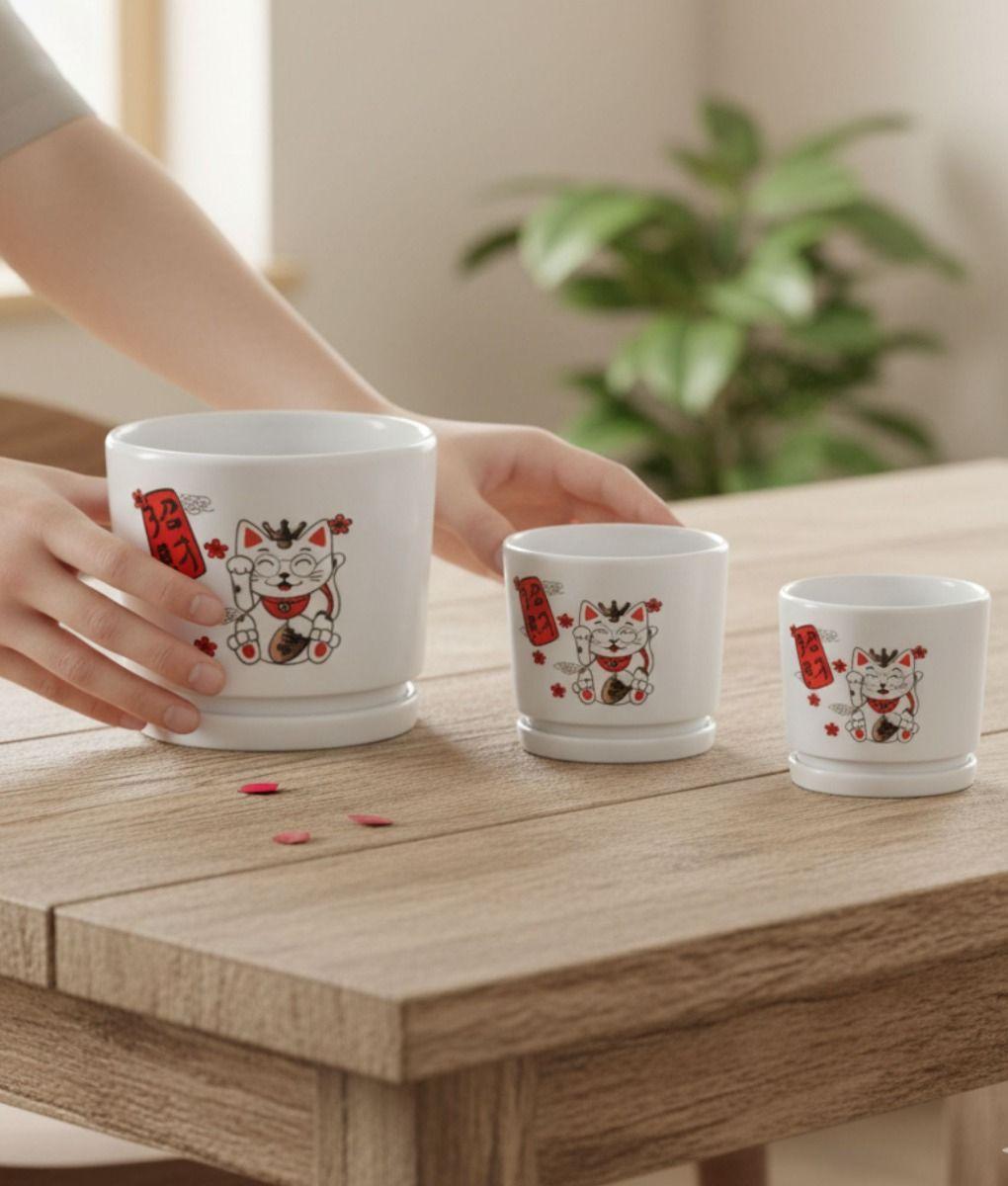 Set 3 Macetero Decorativo Diseño Gato Suerte Armonía Jhn-3