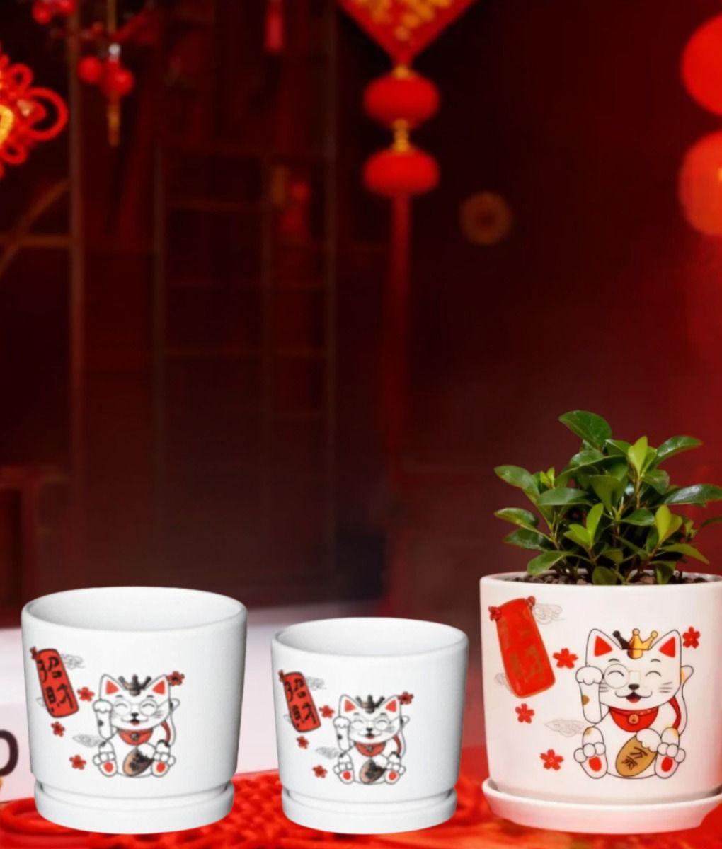 Set 3 Macetero Decorativo Diseño Gato Suerte Armonía Jhn-8
