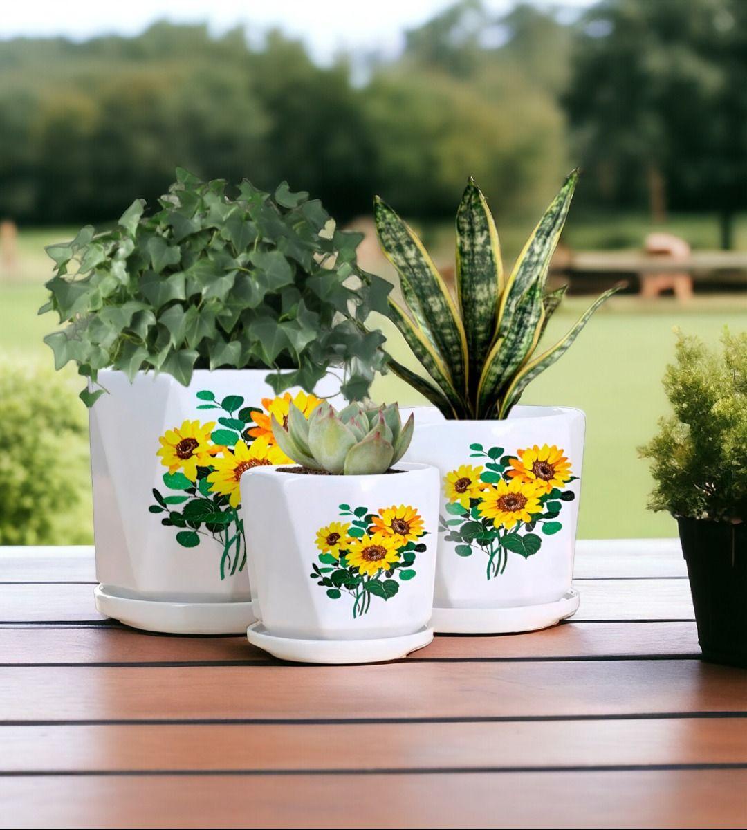 Set 3 Macetas Girasol Cerámica Plantas Jardín Decoración Jhn-3