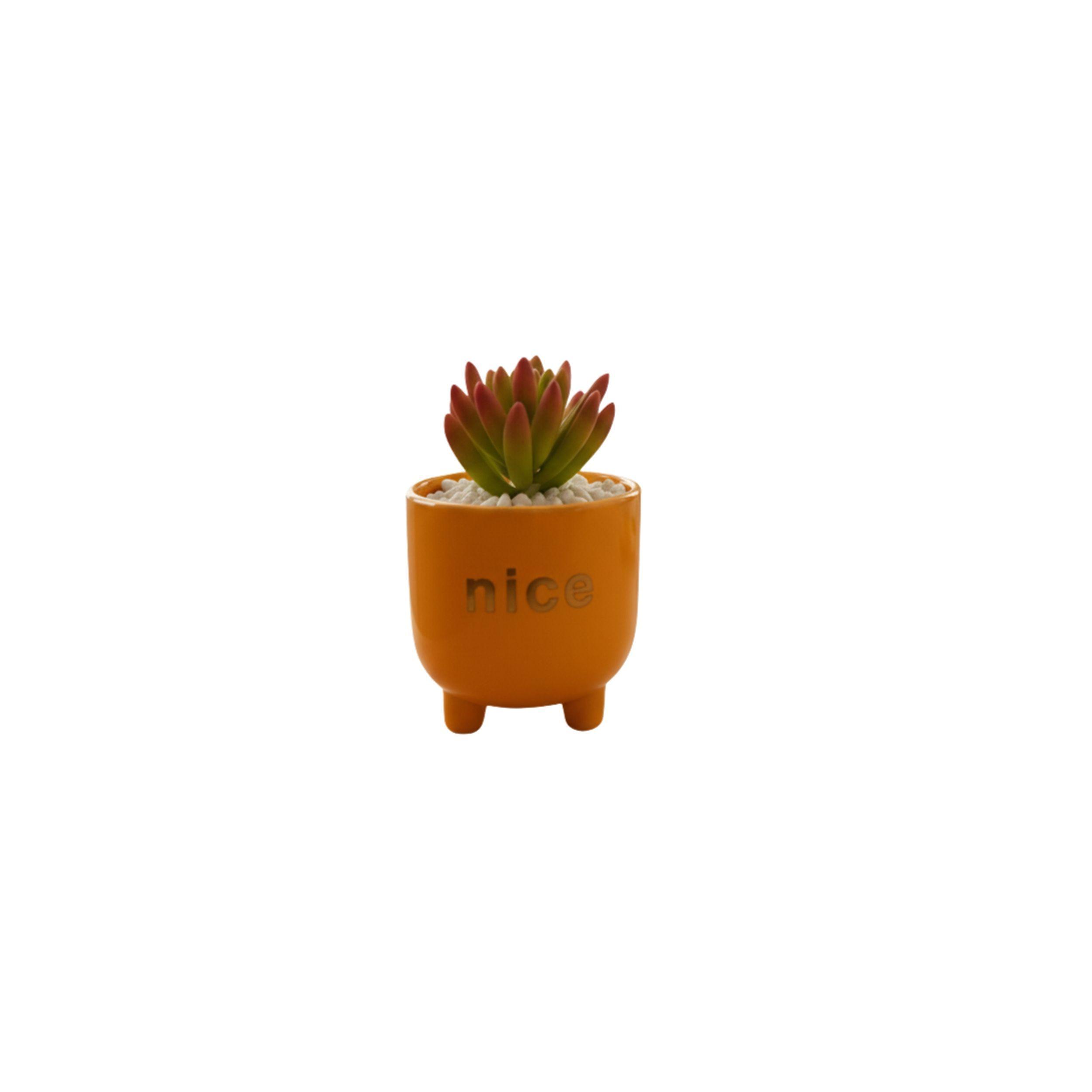 Set 2 Macetas Decorativas Frases Plantas Suculentas ALJ-1