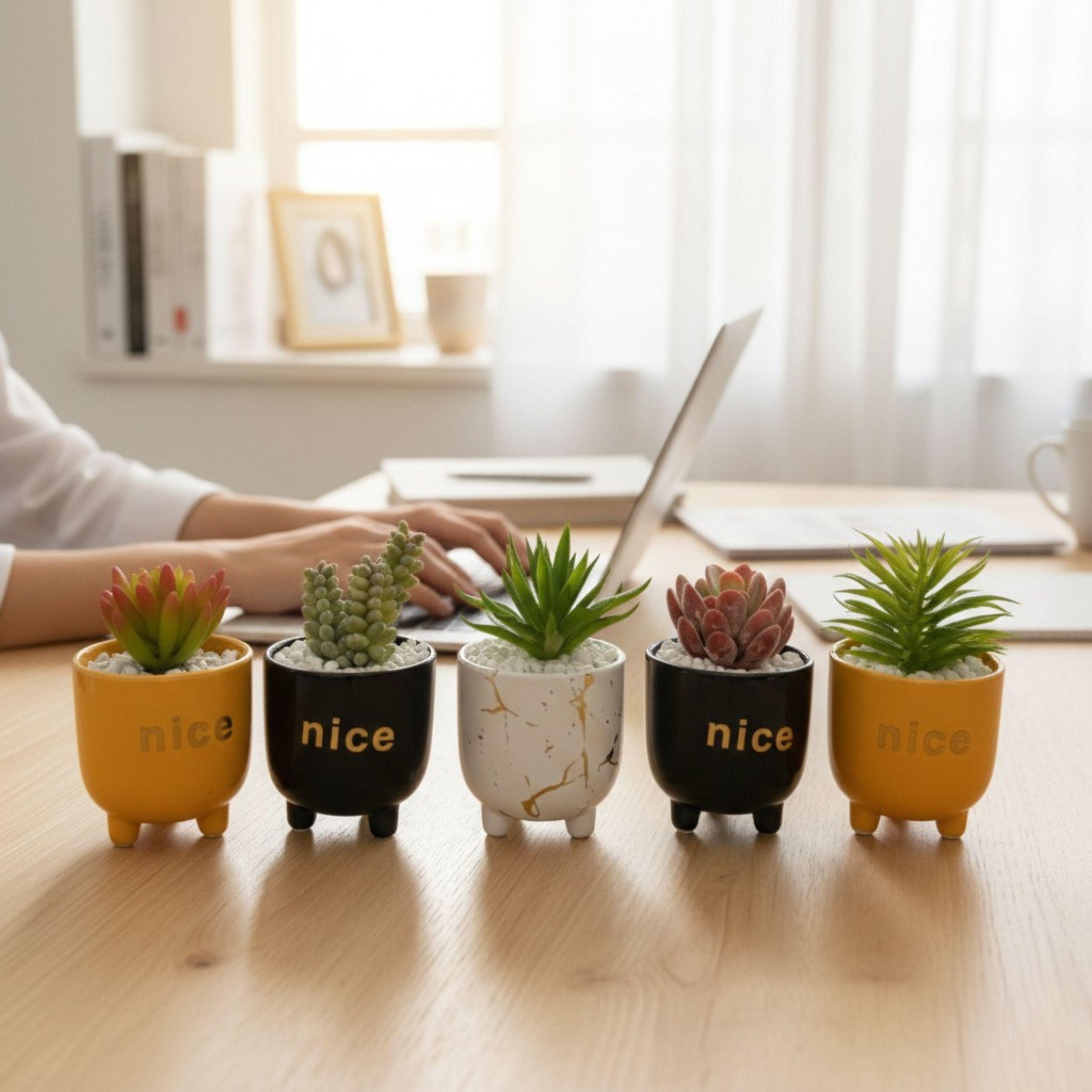Set 2 Macetas Decorativas Frases Plantas Suculentas ALJ-5
