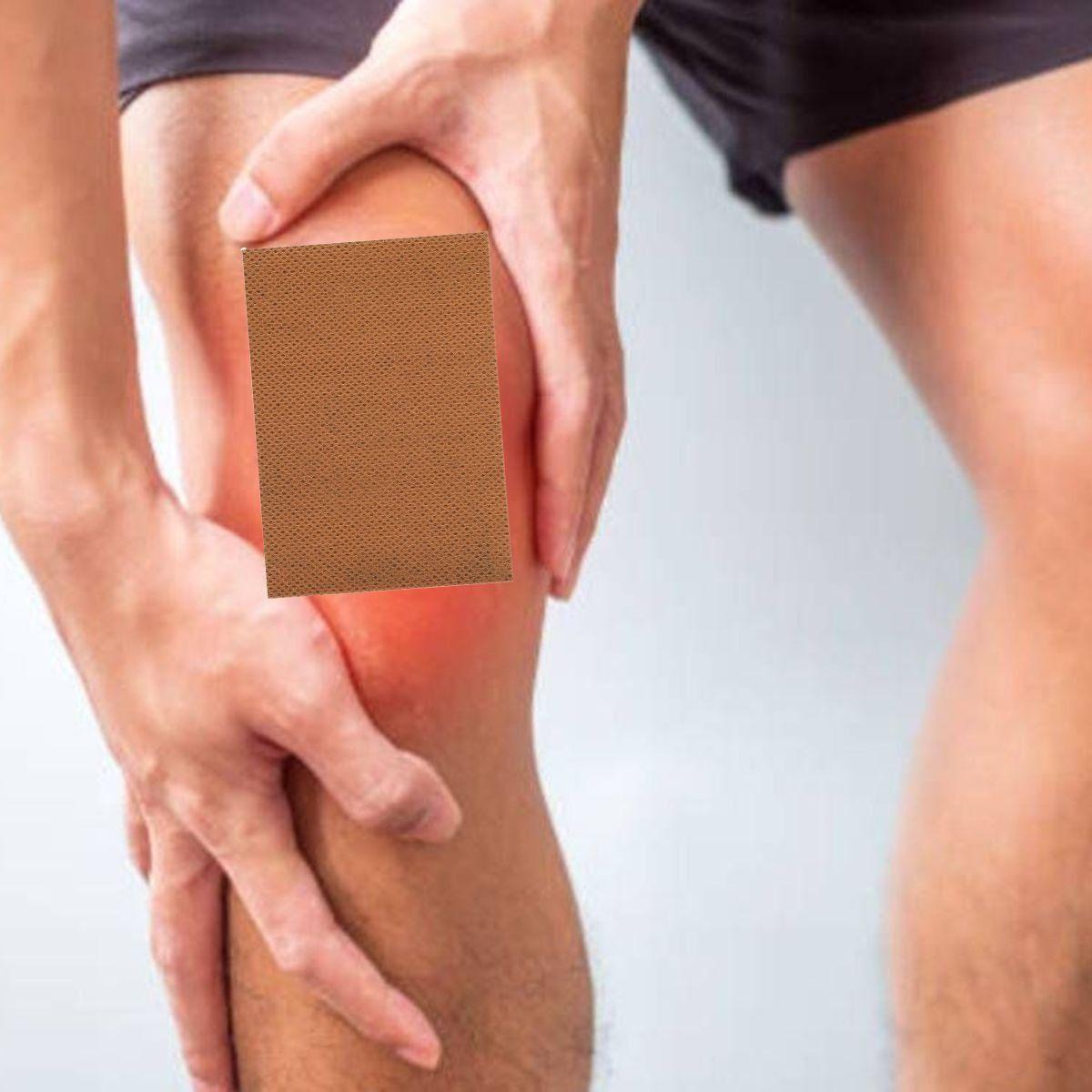 SET 5 PARCHES TIGRE ANALGESICO DÓLAR MUSCULAR ARTICULAR LAU-4