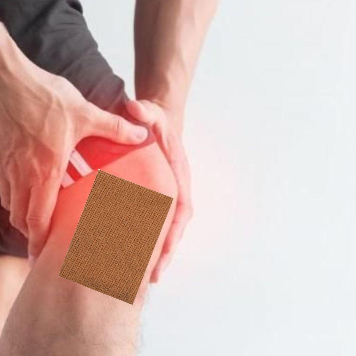SET 5 PARCHES TIGRE ANALGESICO DÓLAR MUSCULAR ARTICULAR LAU-6