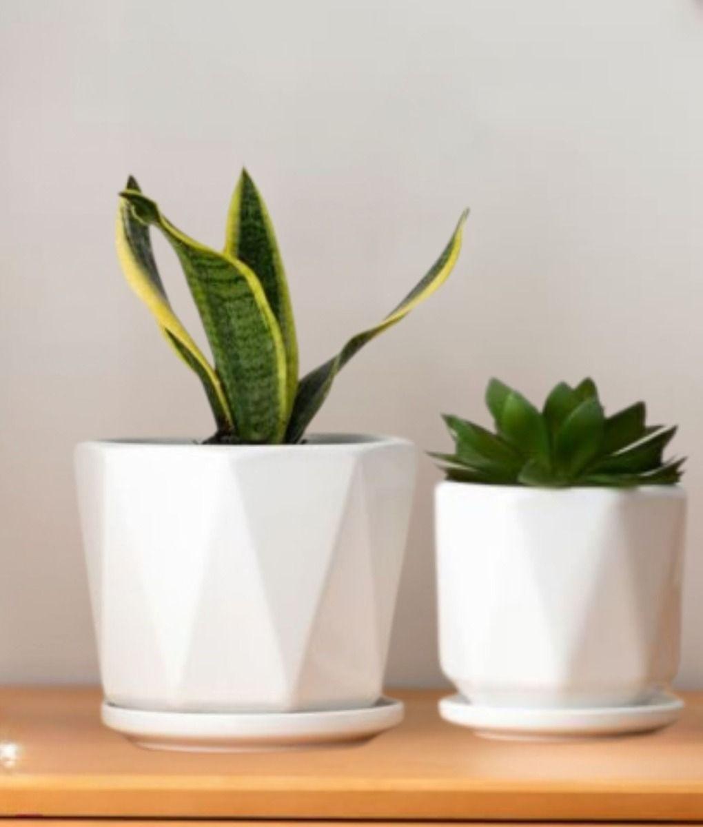 Set 3 Maceta Decorativa Diseño Geométrico Versátil Jhn-5