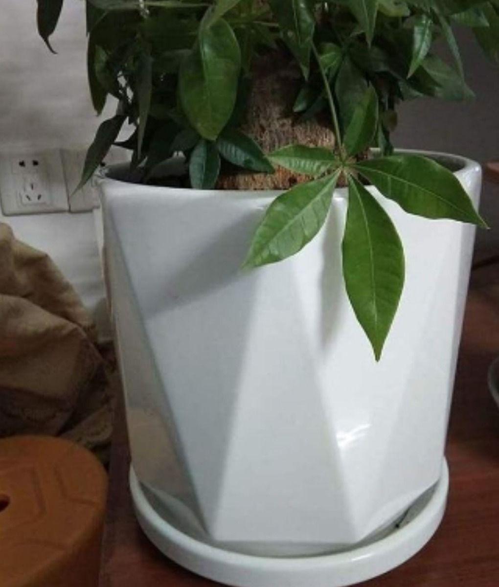 Set 3 Maceta Decorativa Diseño Geométrico Versátil Jhn-6