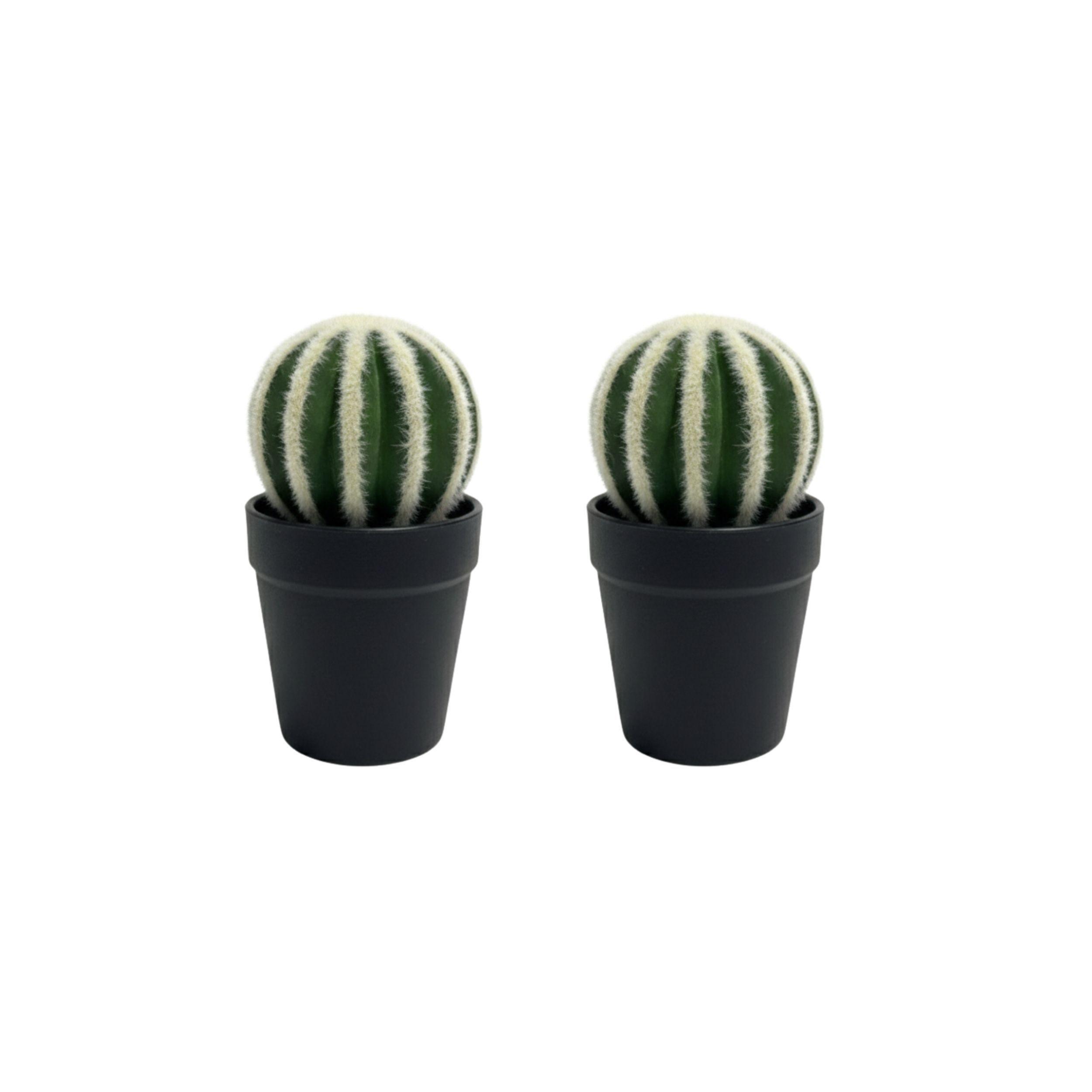 Set 2 Cactus Decorativos Minimalistas Planta Artificial ALJ-1