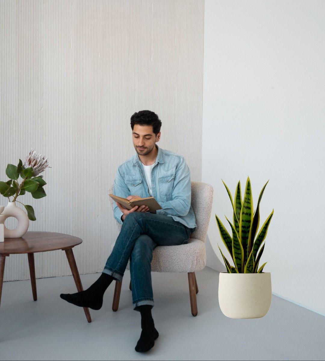 Planta Artificial Decorativa Creativa Maceta Hogar Jhn-5