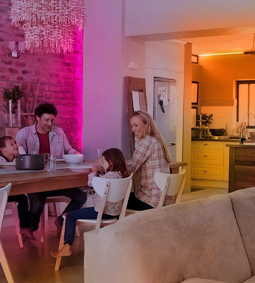 Luces LED Cuerda Tejido Reticulado Luminoso Neon 5m Jhn-3