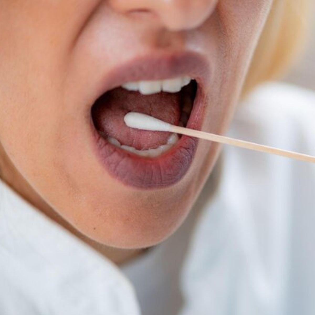 SET 7 PAQUETES HISOPOS X100 TOMA MUESTRA HIGIENE ALGODON LAU-2