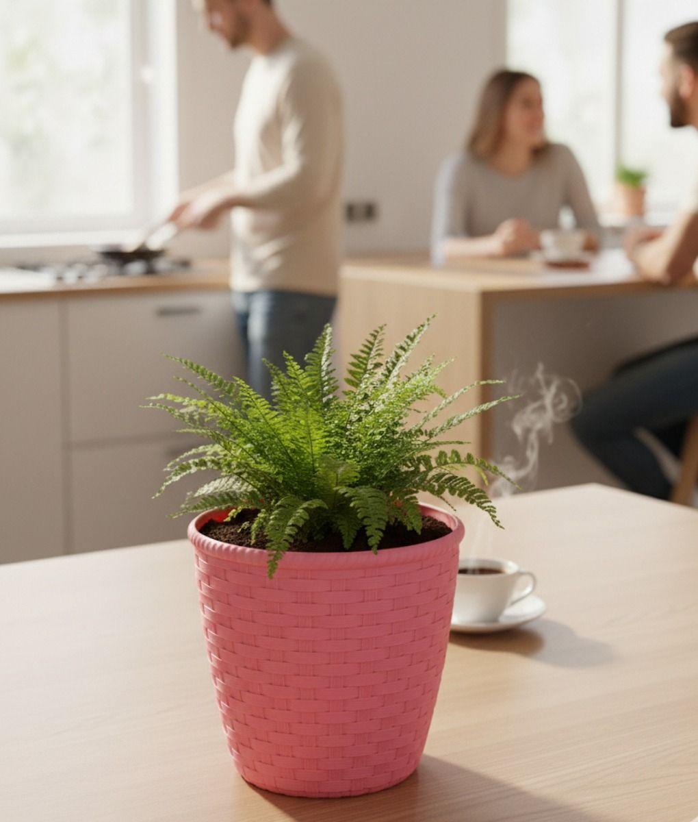 Set 2 Macetero Decorativo Diseño Trenzado Contenedor Jhn-5