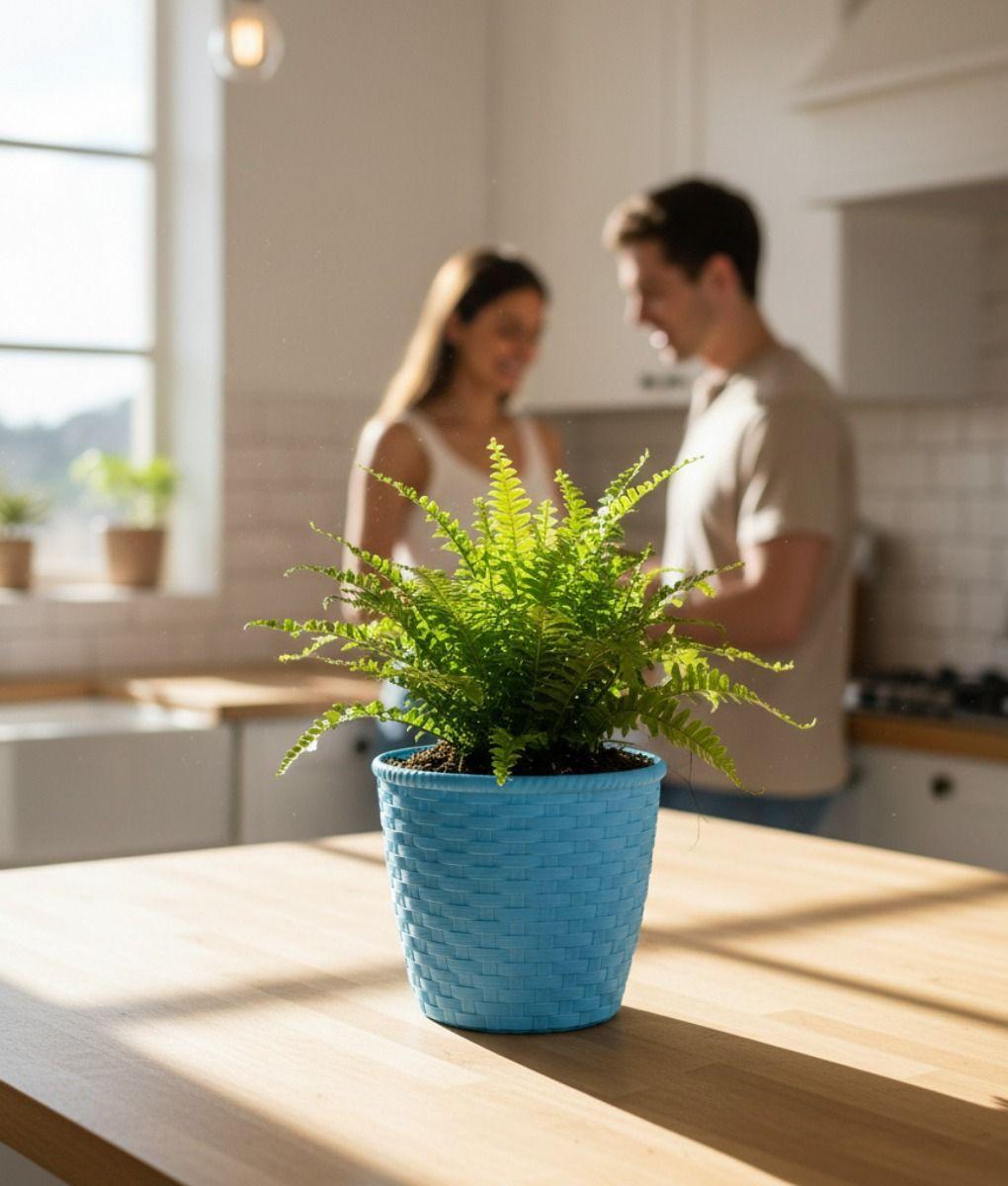 Set 2 Macetero Decorativo Diseño Trenzado Contenedor Jhn-7