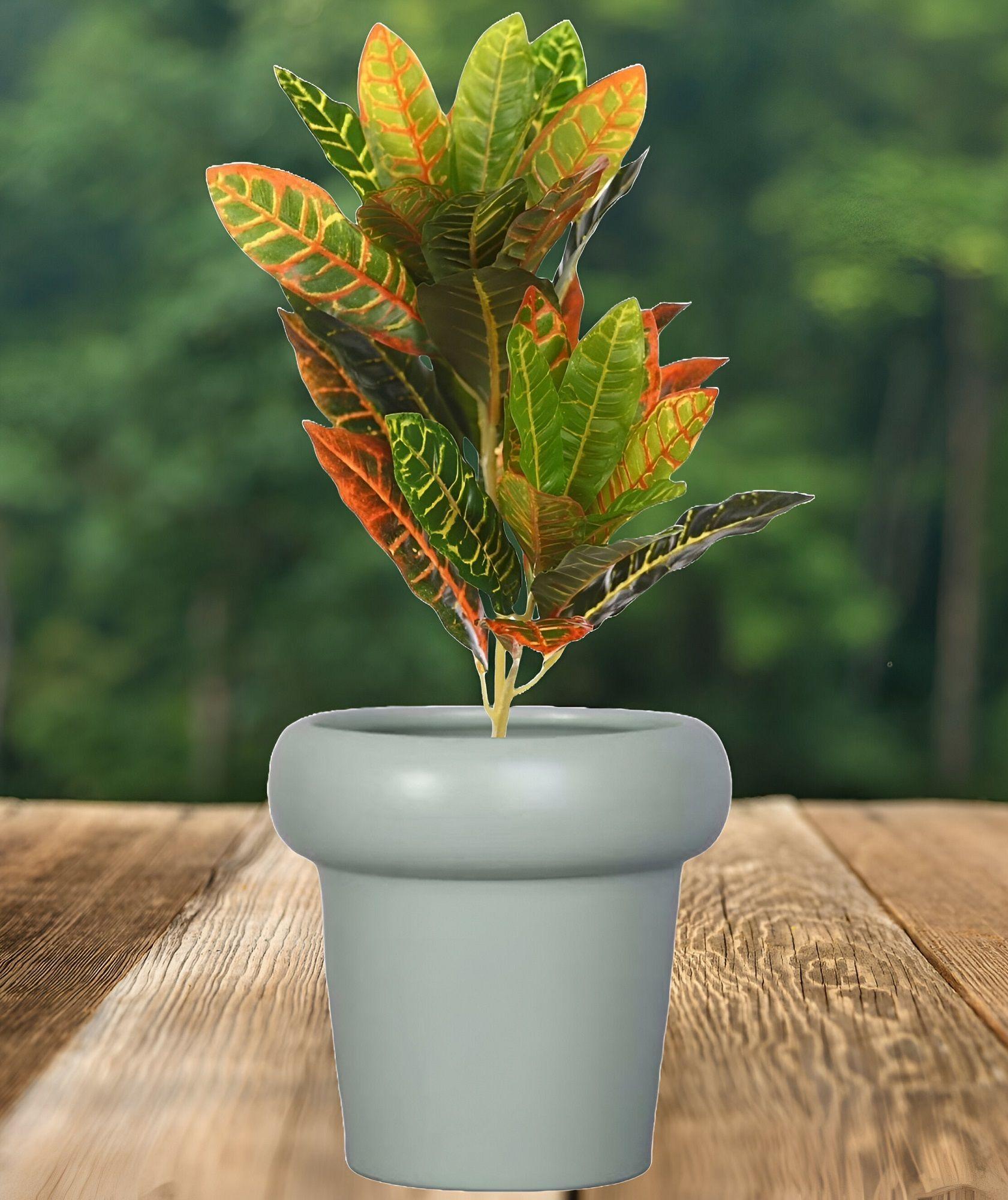 Maceta Plantas Terracacota Pequeña Escritorio Hogar Lau-6