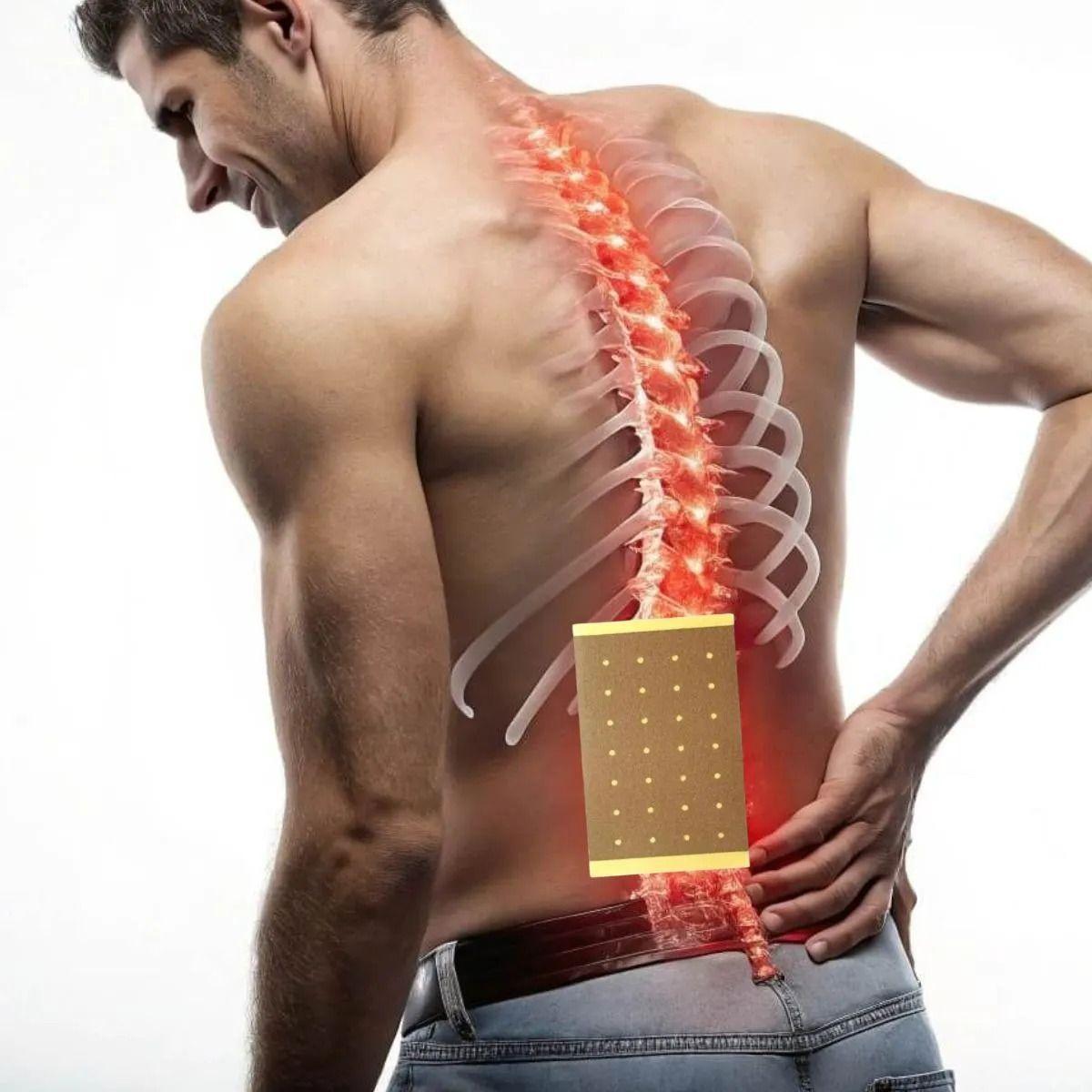 PACK 50 PARCHES ANTIFLAMATORIO DOLOR MUSCULAR ARTICULAR LAU-2