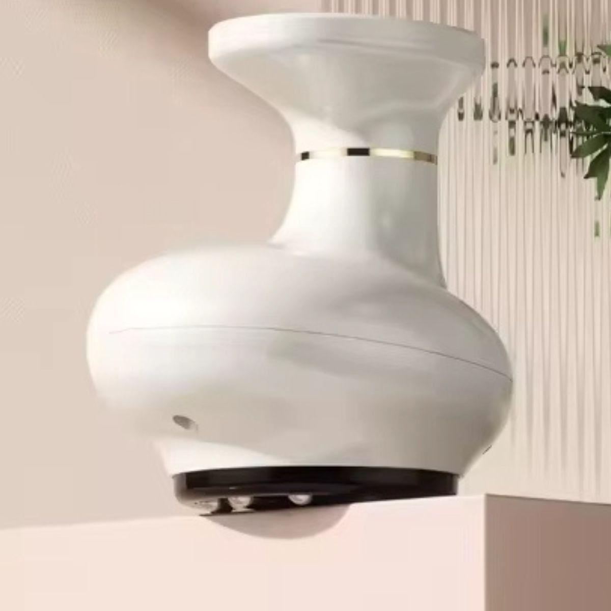 MASAJEADOR RASPADOR PIE INTELIGENTE RECARGABLE MUSCULAR LAU-6