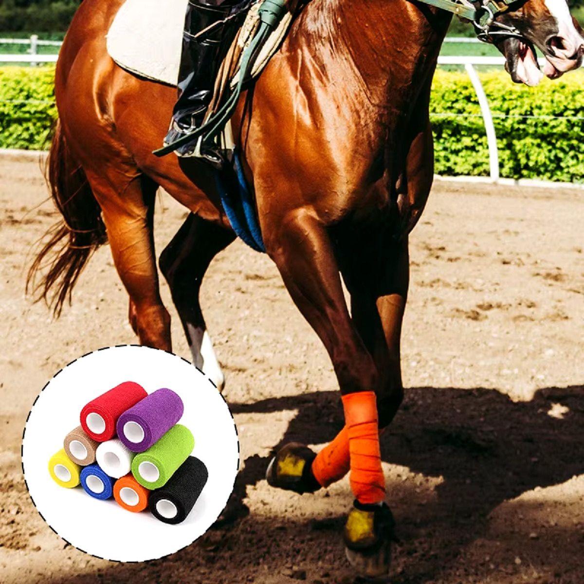 Set 5 Vendas Coban Elástica Primeros Auxilios 10cmx4,5m Lau-8