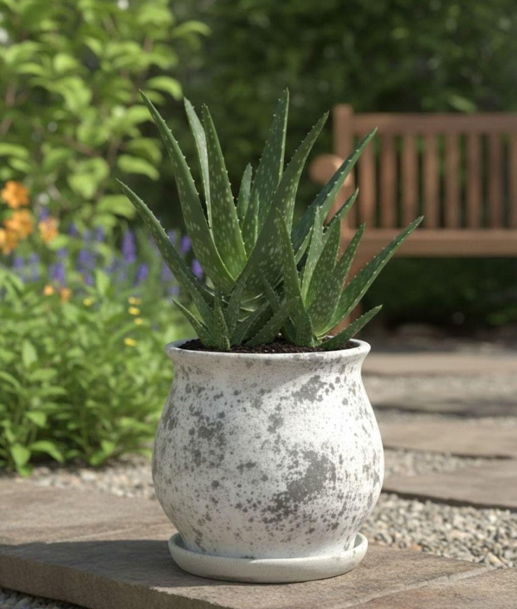 Maceta Decorativa Patrón Moderno Jaspeado Funcional Jhn-8