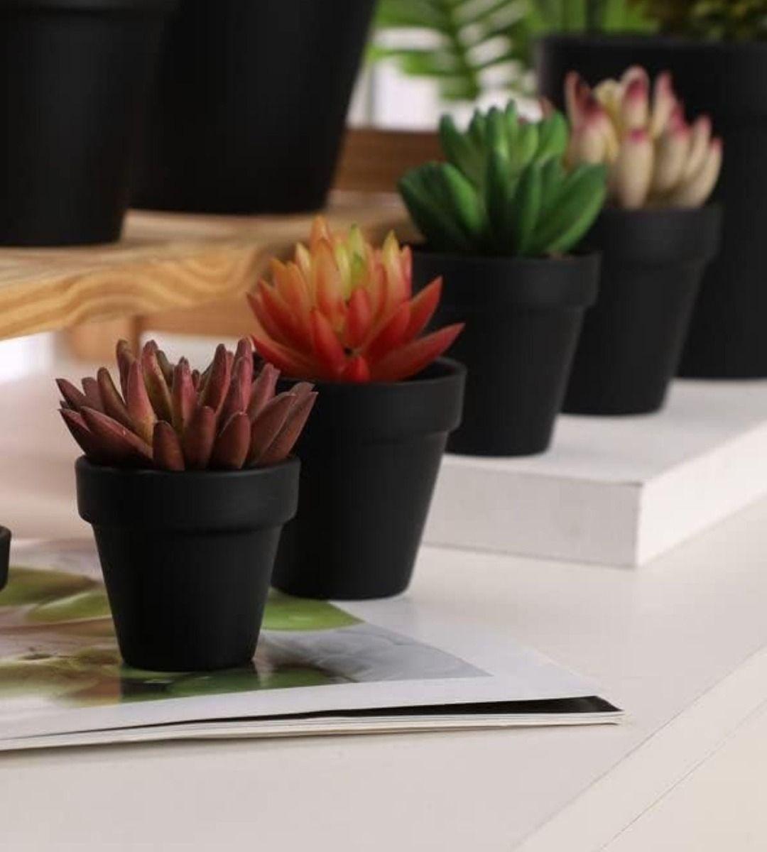 Set 6 Macetero Mini Suculentas Jardinería Cultivo Jhn-5