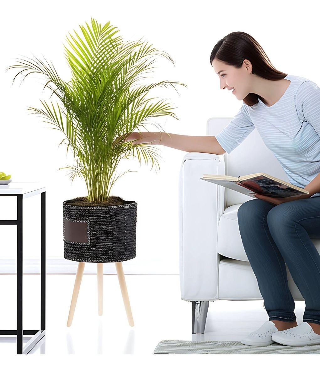 Set Maceteros Modernos Soporte Macetas Jardín Patas Jhn-3