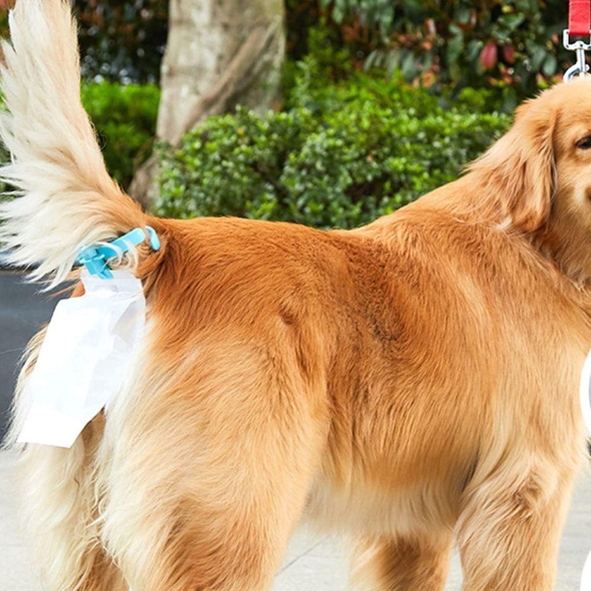 KIT PORTA BOLSAS PARA ASEO DE MASCOTAS PERROS PASEO LAU-3