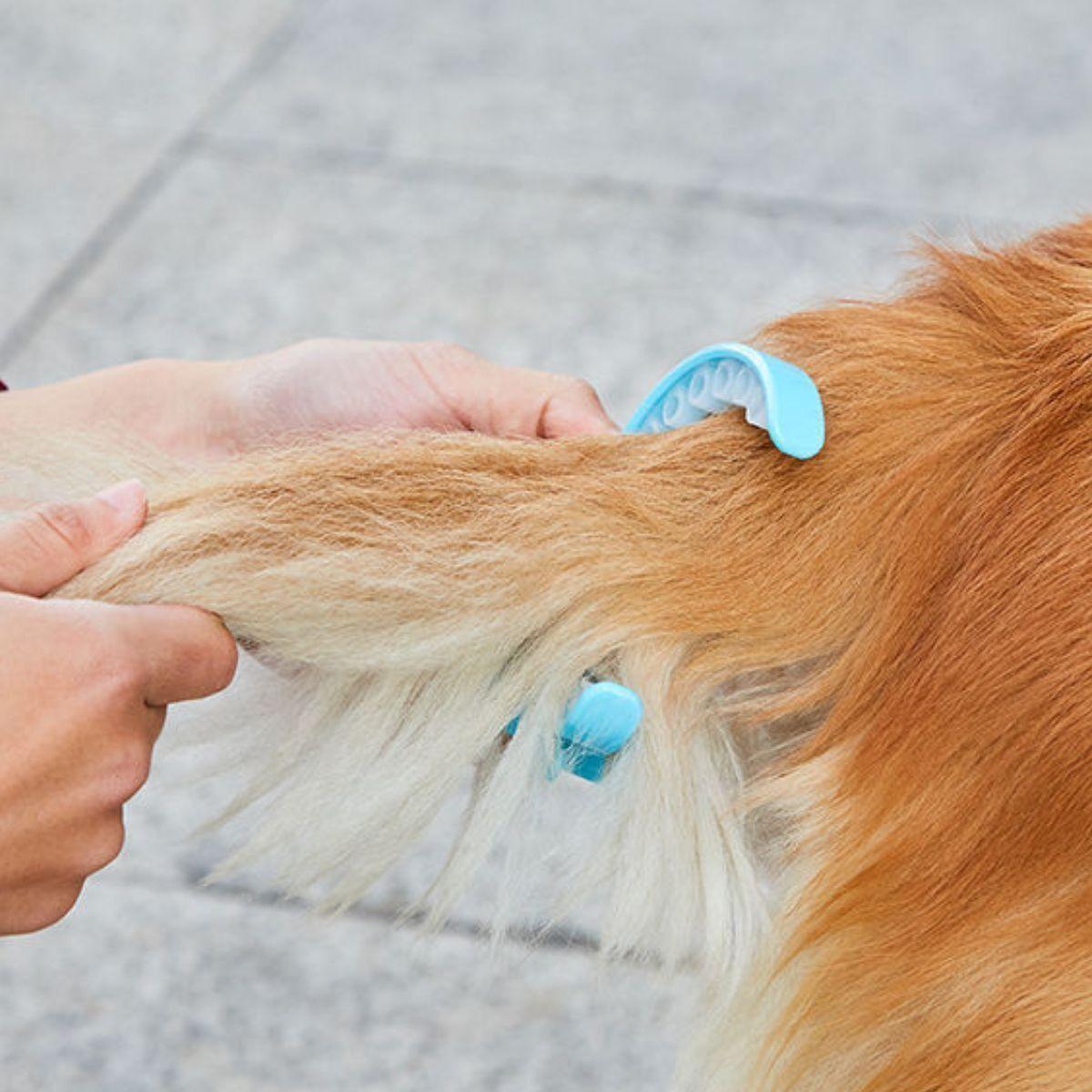 KIT PORTA BOLSAS PARA ASEO DE MASCOTAS PERROS PASEO LAU-6