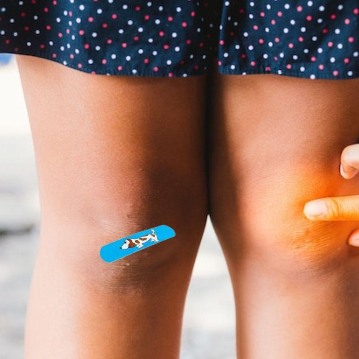 PACK 5 PARCHES CURITA INFANTIL DISEÑO ANIMALITOS HERIDAS LAU-1