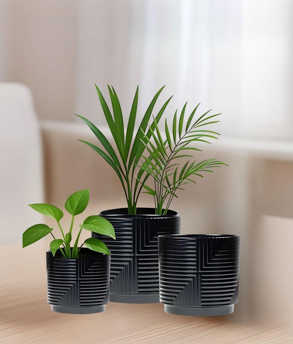 Set 3 Macetero Decorativo Diseño Geométrico Hogar Adorno Jhn-5