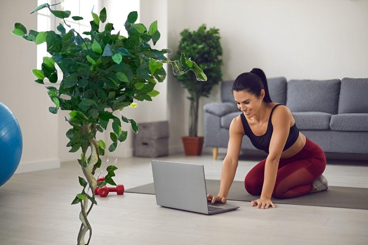 Planta Artificial Realista Arbol Ficus Trenzado 120cm Jhn-2