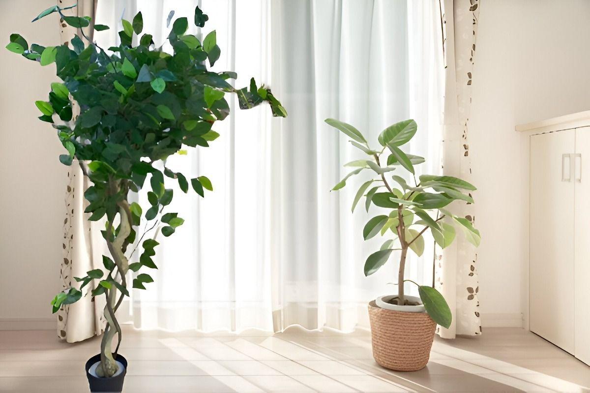 Planta Artificial Realista Arbol Ficus Trenzado 120cm Jhn-5