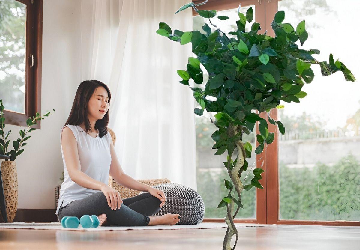 Planta Artificial Realista Arbol Ficus Trenzado 120cm Jhn-8