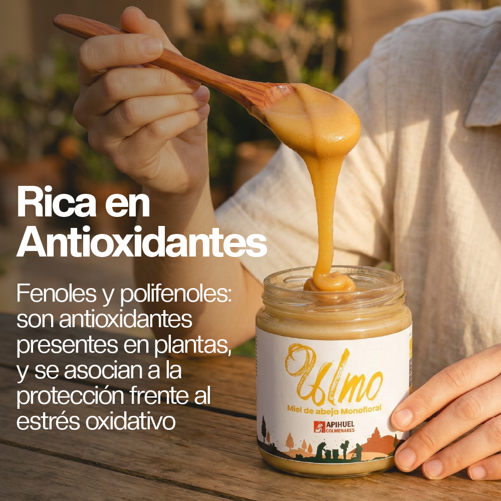 Miel Monofloral de Ulmo 515 g Apihuel Colmenares-2