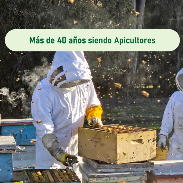 Miel 100% Pura y cruda de abejas, multiflora 1kg La Colmenita-3