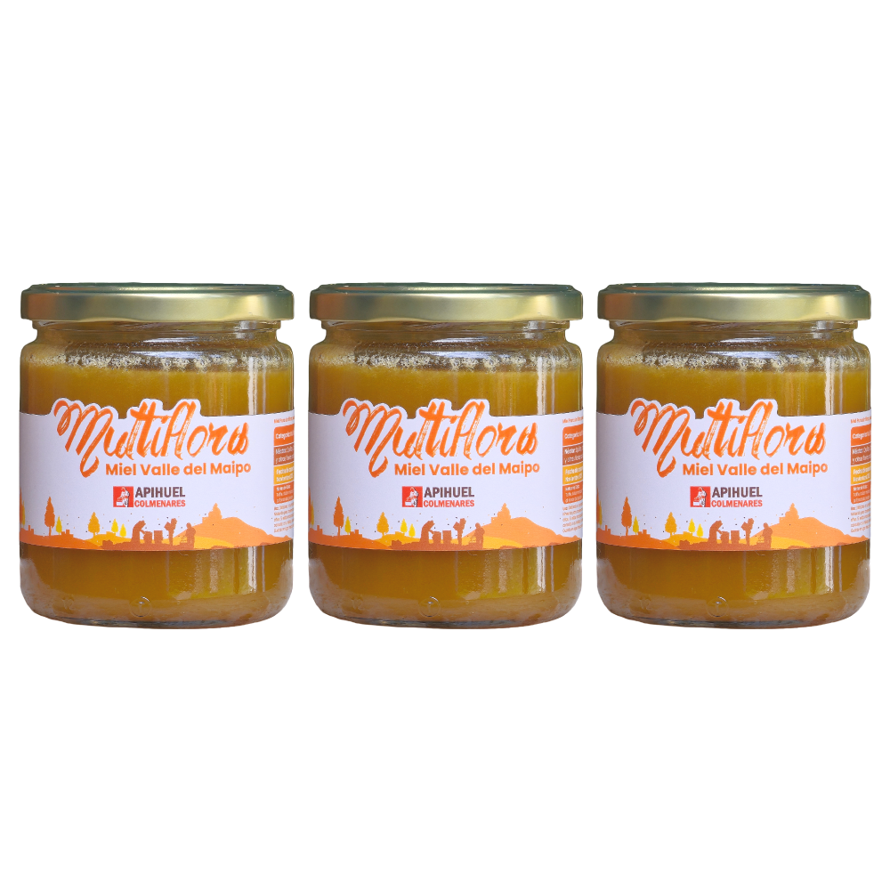 Pack 3 Mieles Multiflora Valle del Maipo 515 g c/u Apihuel Colmenares-0