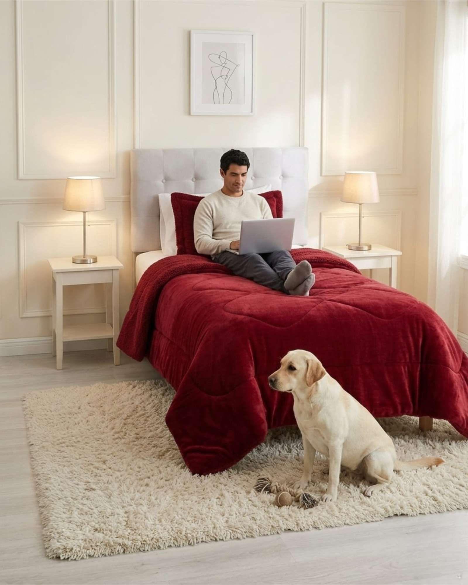 Cubrecama Plush con Chiporro Plaza y Media Diseño Premium C23-3