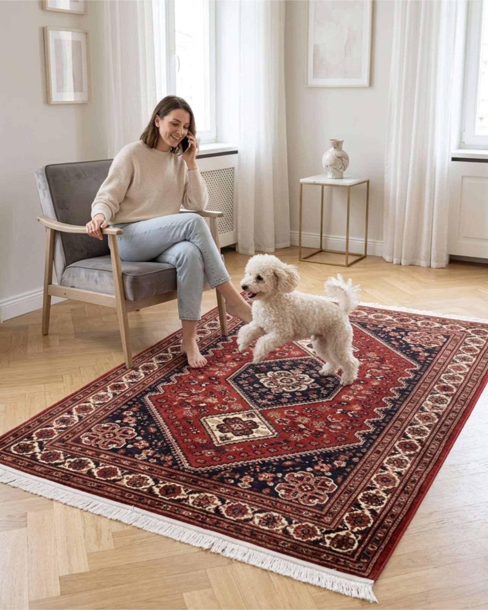 Alfombra Estilo Persa Vintage Con Flecos 120x160 Cm m1-3