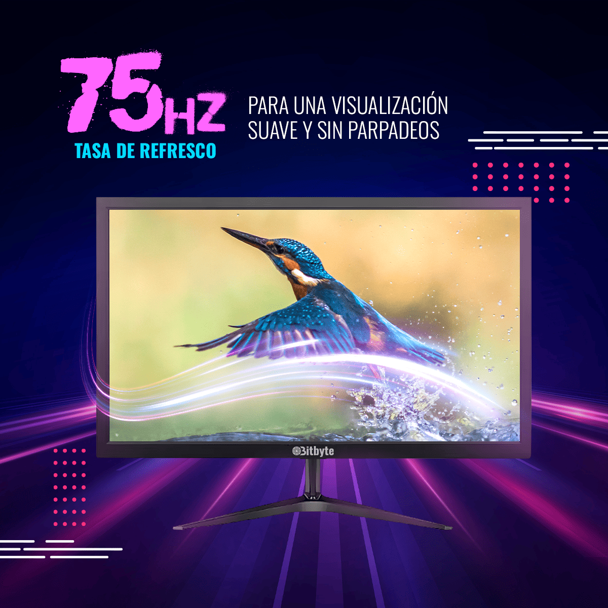 Monitor Bitbyte 24? Full HD (1920×1080)-2