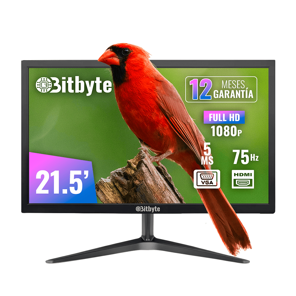 Monitor Bitbyte 21.5? Full HD (1920×1080)-0